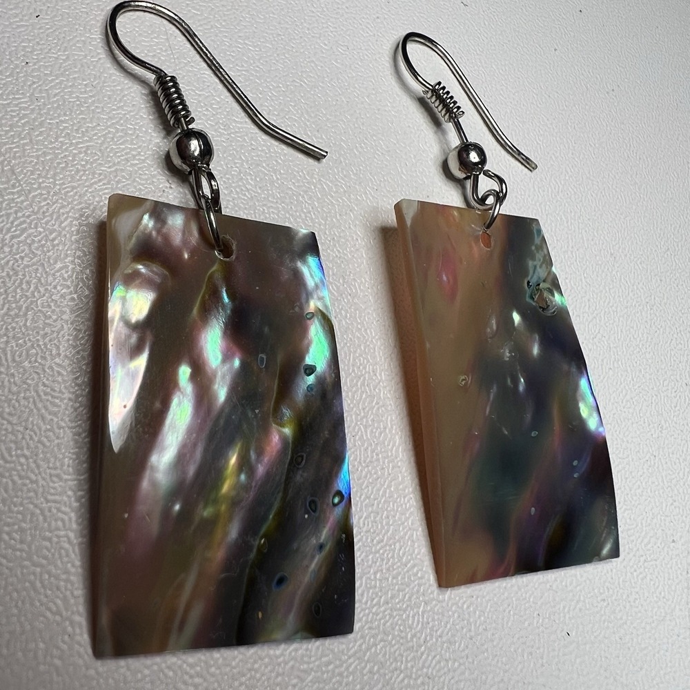 Vtg Abalone Rectangle Dangle Natural Paua Shell Drop Earrings